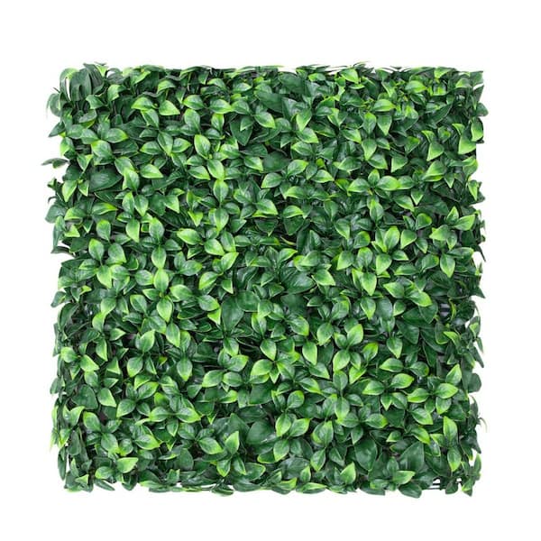 BANSA ROSE 20 in. H x 20 in. W Plastic Artificial Gardenia Ivy Hedge Privacy Garden Fence for Home Backyard Garden Indoor, 1-Pieces