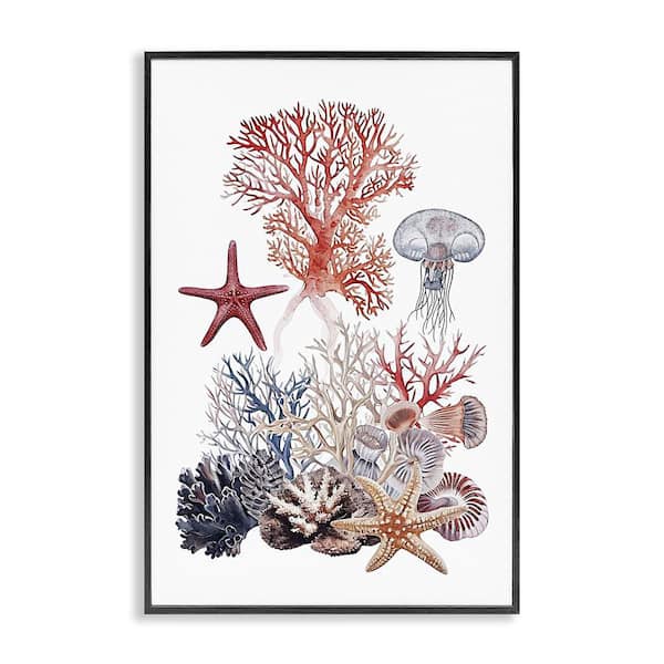 Stupell Industries Aquatic Animals and Coral by Ramona Murdock Black Framed Animal Giclee Art Print 18 in. x 12 in.