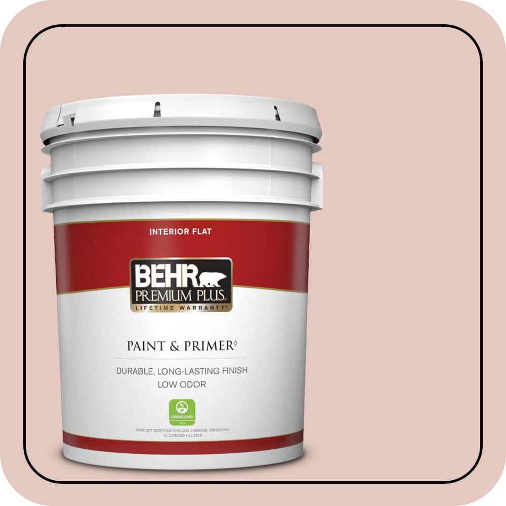 5 gal. #S170-2 Rosewater Flat Low Odor Interior Paint & Primer price history on PriceWatchPro