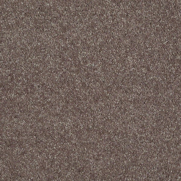 Home Decorators Collection Brave Soul I - Fudge - Brown 34.7 oz. Polyester Texture Installed Carpet