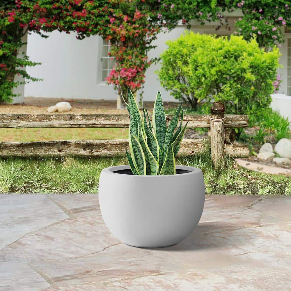 PLANTARA 20 in. D Round Solid White Concrete Planter pot, Outdoor ...