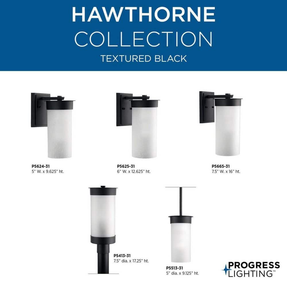 Hawthorne Black Aluminum Outdoor Lantern with Etched Seeded Glass