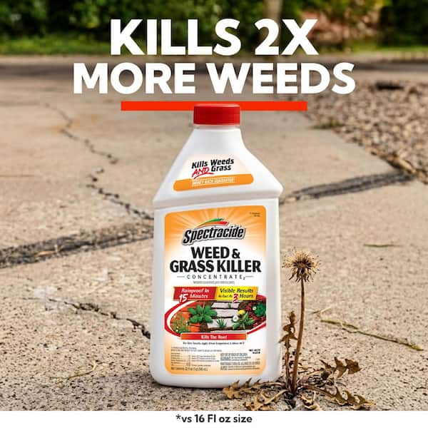 Spectracide 32 Oz. Concentrate Weed and Grass Killer