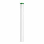 32-Watt 4 ft. Alto Linear T8 Fluorescent Tube Light Bulb, Cool White (4100K) (2-Pack)