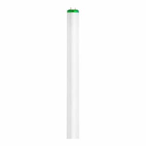 Sylvania 20-Watt 2 ft. Linear T12 Tube Fluorescent Light Bulb Warm White  22622 - The Home Depot