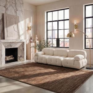 Vision Brown 8 ft. x 10 ft. Solid Area Rug