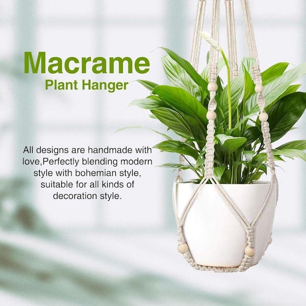 pot for monstera plant Little Swiss Monstera Medium / Self-Watering main image 0