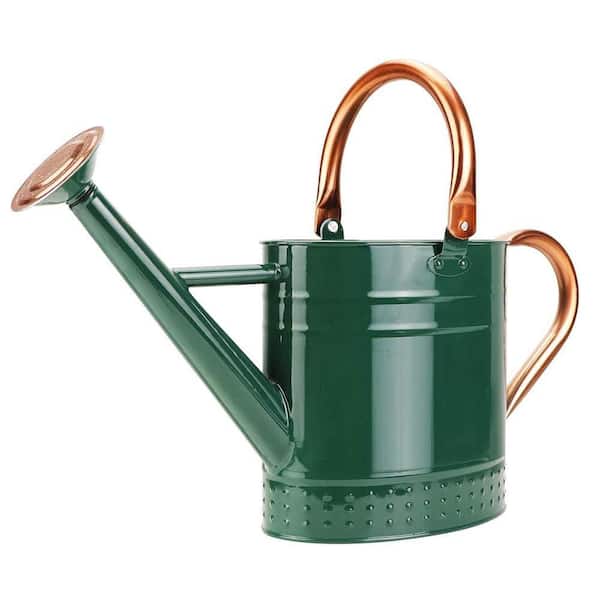 1 gal. Green Metal with Removable Spout Embossed Design Watering Can for Indoor and Outdoor Plants (1-Pack)