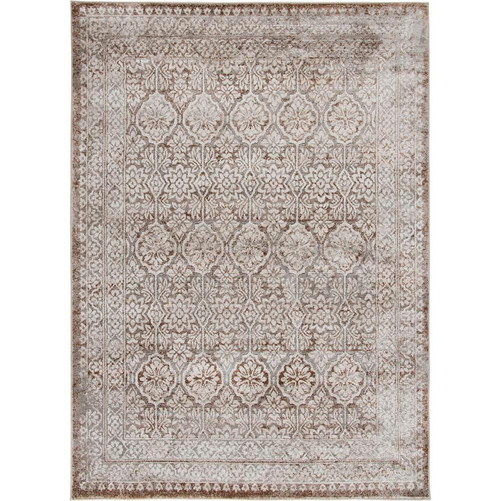 Morrow 6 ft. x 9 ft. Brown Area Rug price history on PriceWatchPro