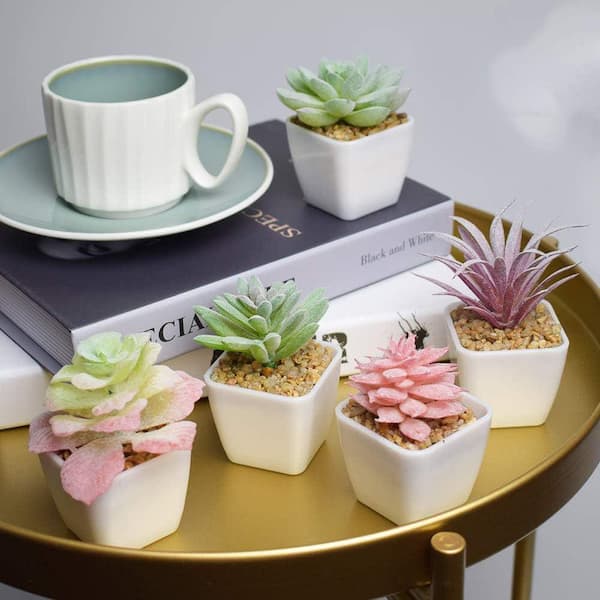 3 in. Multi-Colored Indoor Artificial Mini Succulents in White Pot