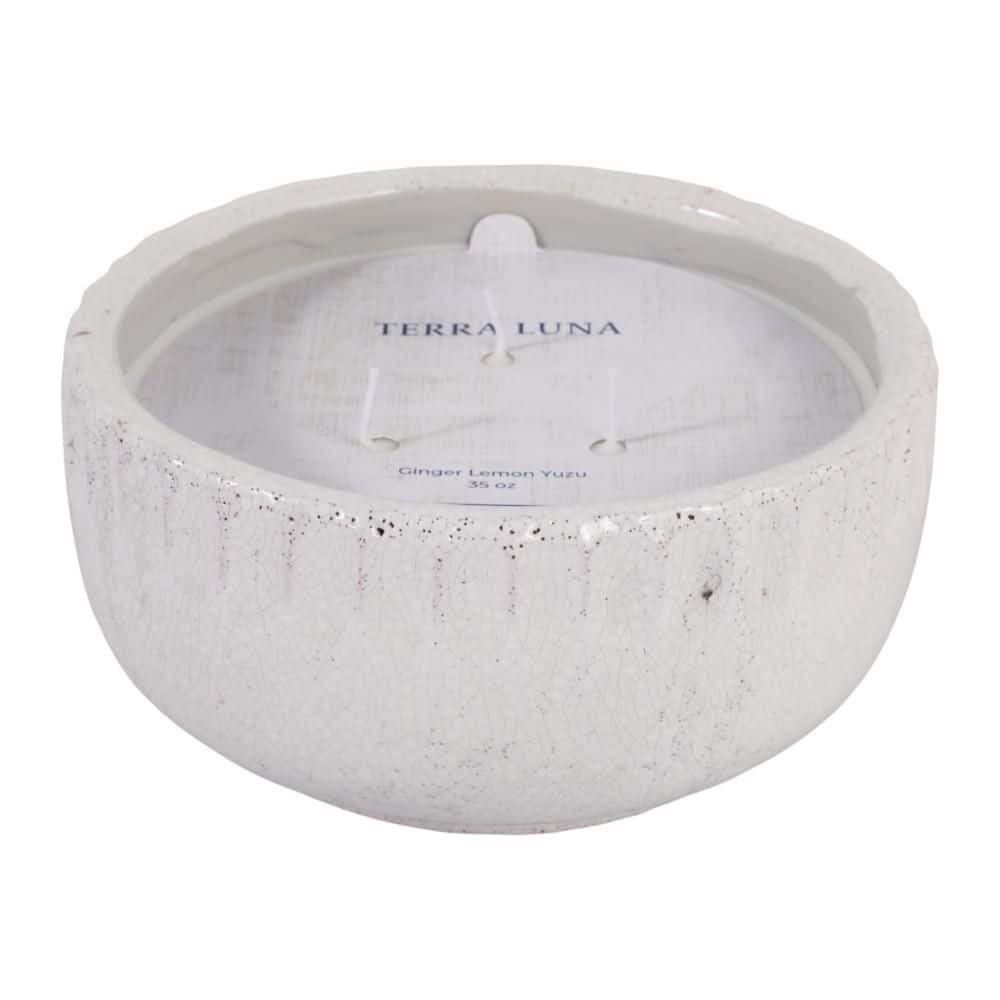 4.5 in. White Ceramic Ginger Lemon Yuzu Scented Crackle Candle 35 Oz price history on PriceWatchPro