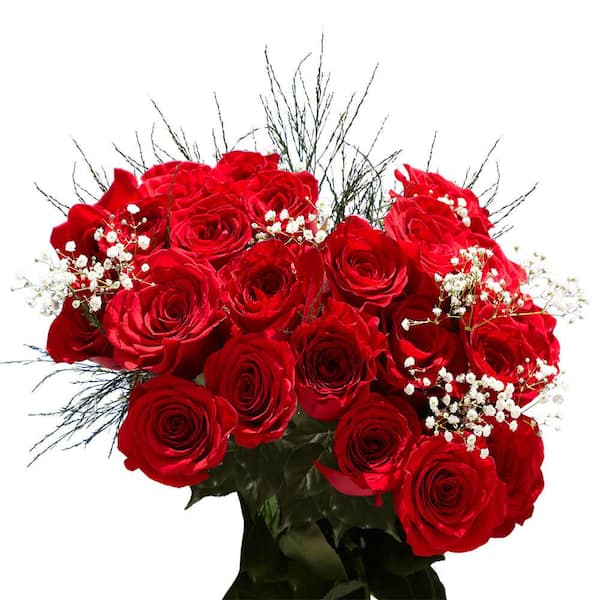 Globalrose 1-Dozen Red Roses with Baby's Breath and Green- Fresh Flower ...