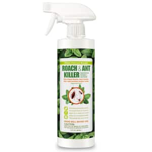 Roach Insect Killer/Repellent by EcoRaider 16 oz., Fast Kills, 4-Week Deterrence, Plant-Based, Child/Pet-Safe
