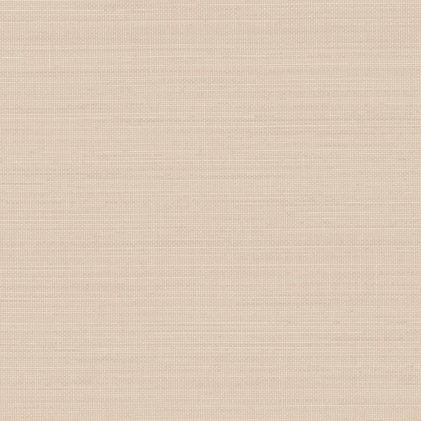 Chesapeake Spinnaker Brown Netting Matte Paper Pre-Pasted Wallpaper
