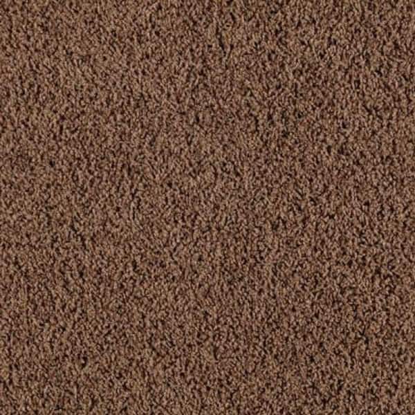 Lifeproof Carpet Sample - Bassano I - Color Gingersnap Twist 8 in. x 8 in.