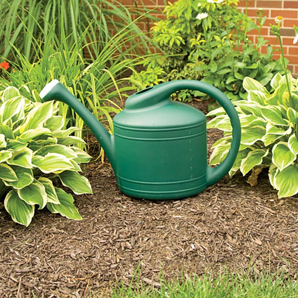 Large Green Plastic Garden Watering Can with Removable Spout, 2-Pack