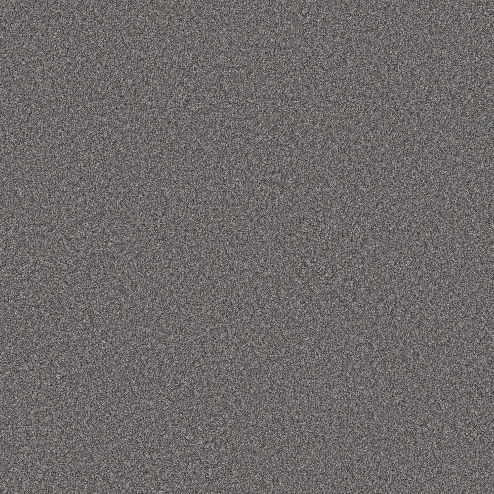 8 in. x 8 in. Texture Carpet Sample - Gifted Moments I - Color Mercury Glass price history on PriceWatchPro