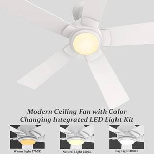 Dual Motor - Ceiling Fans - Lighting 