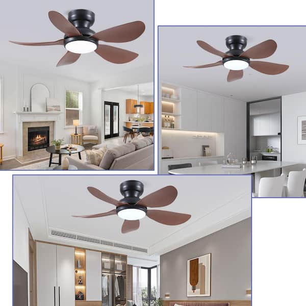 36 in. Indoor/Outdoor Flush Mount Brown Ceiling Fan with Dimmable 3 Color LED Light and Remote/APP Control