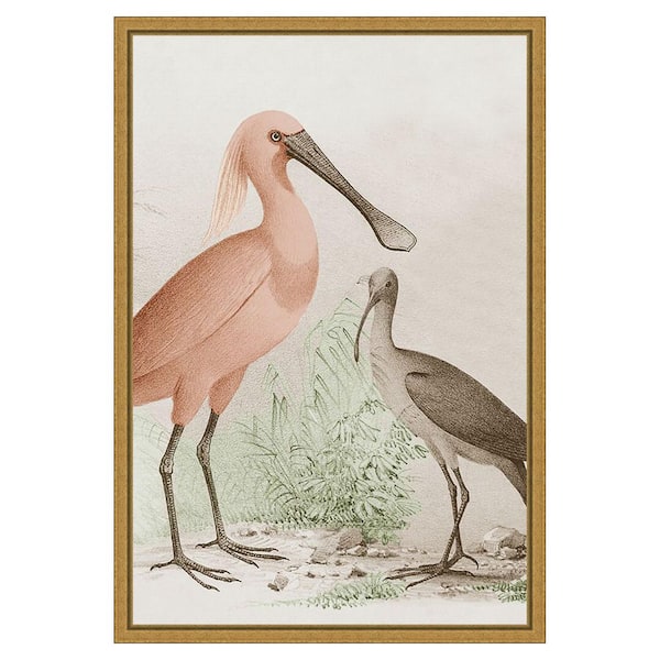 Amanti Art Antique Chroma Waterbirds II by Unknown 1-Piece Floater Frame Canvas Giclee Animal Art Print 23 in. x 16 in.