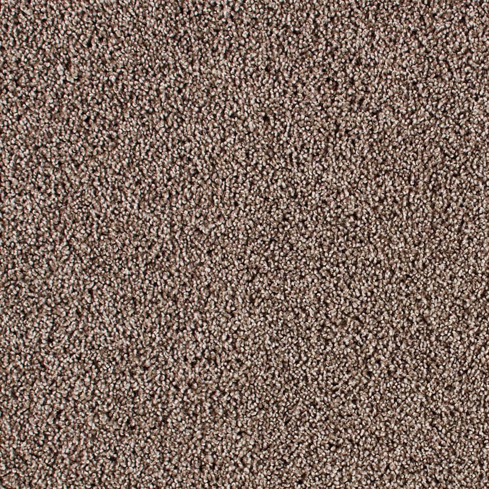 8 in. x 8 in. Texture Carpet Sample - Huntcliff I -Color Leather Bound price history on PriceWatchPro