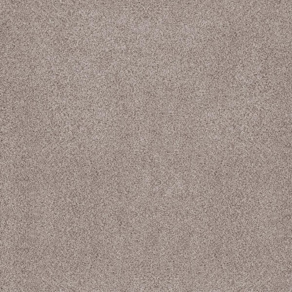 Lifeproof Sand Dunes II Carmina Beige 62 oz. Nylon Texture Installed Carpet