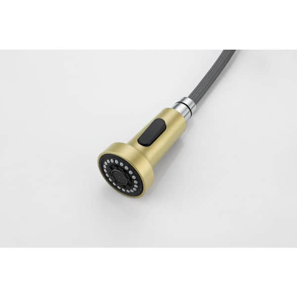 Timeless Home Brushed Gold 18 in. Single Handle Pull Down Sprayer