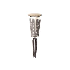 1.5 in. Dia Cap SinkSTRAIN Universal ABS Never Clog Easy Install/Remove Hair Catcher Pop-Up Stopper in Polished Brass