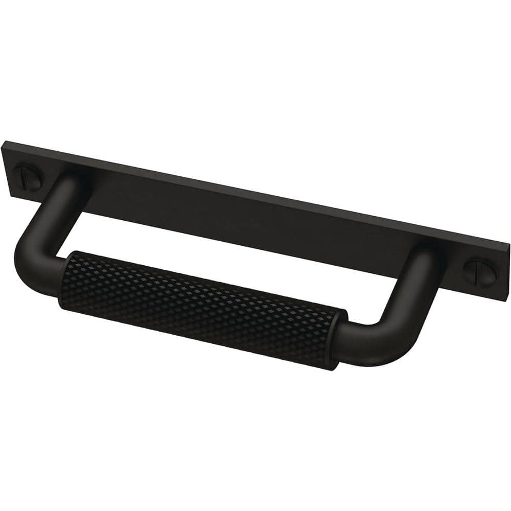 18+ Drawer Pull With Backplate