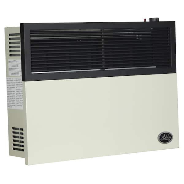 17,000 BTU Direct Vent Natural Gas Heater