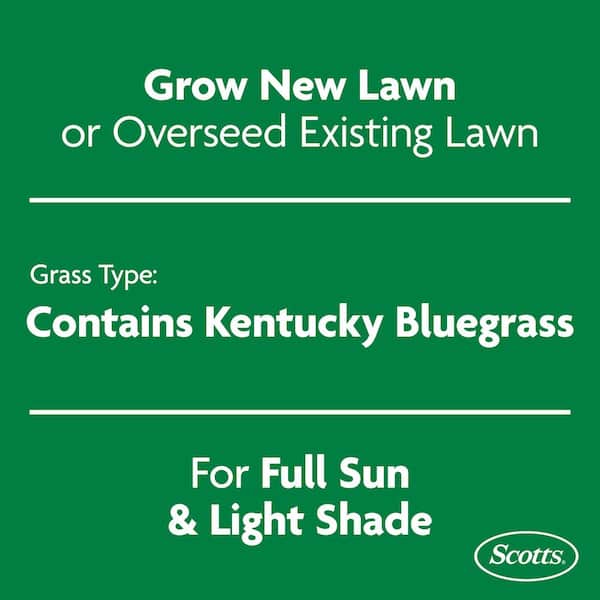 Turf Builder 2.4 lbs. Grass Seed Kentucky Bluegrass Mix with Fertilizer and Soil Improver, Grows Dense, Green Turf