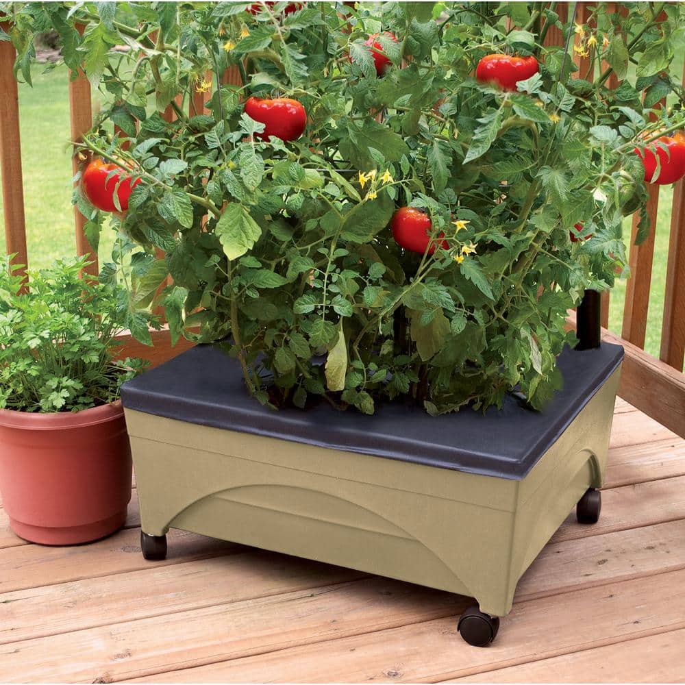 Sand Rectangular Resin Raised Bed Grow Box with Casters