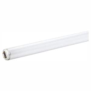 15-Watt 1.5 ft. Linear T8 Fluorescent Tube Light Bulb, Cool White (6-Pack)