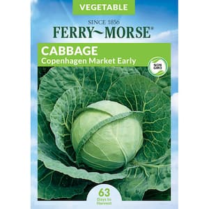 Cabbage Copenhagen Seed