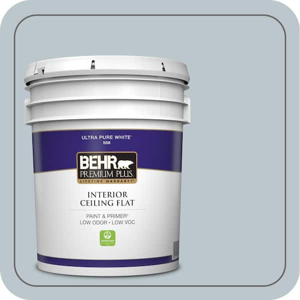 5 gal. #PPH-42 Nautical Gray Ceiling Flat Interior Paint