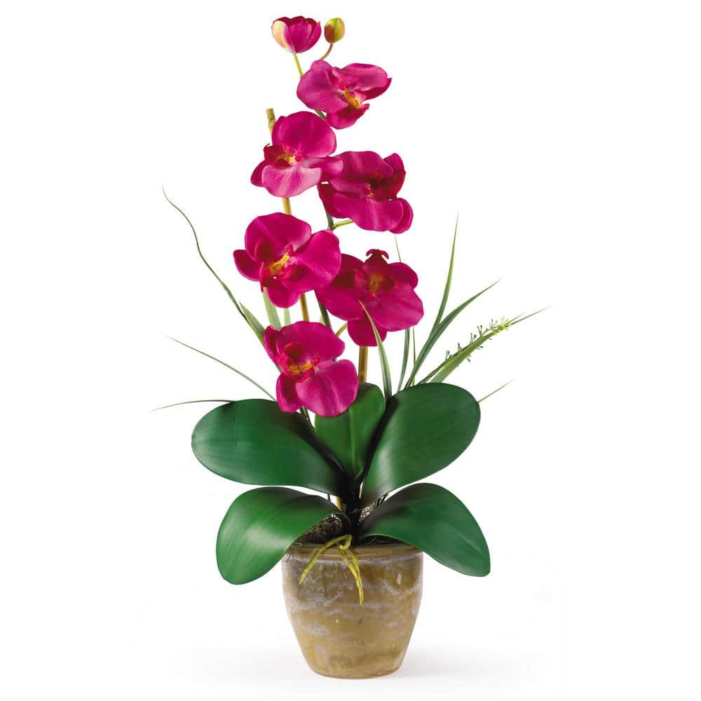 Nearly Natural 21 in. Artificial Phalaenopsis Silk Orchid Flower ...