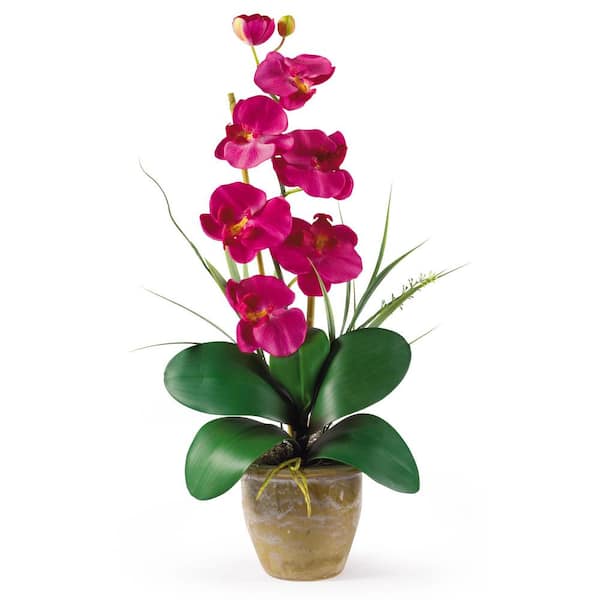 Nearly Natural 21 in. Artificial Phalaenopsis Silk Orchid Flower Arrangement in Beauty
