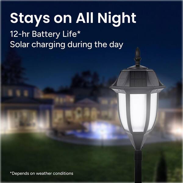 TECHKO Solar Black Integrated LED Bulb Garden and Path Light with