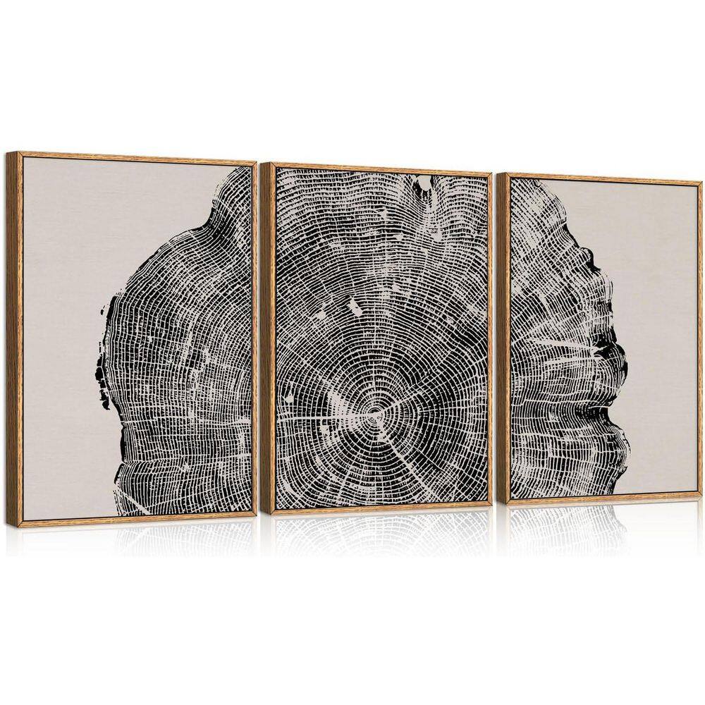 3 Piece Framed Canvas Print Abstract Black Tree Ring Wall Art Print 24 ...
