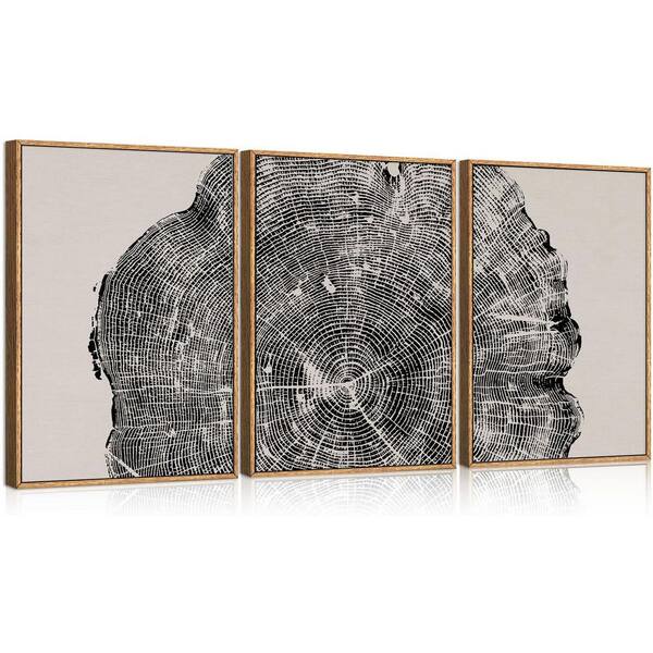 3 Piece Framed Canvas Print Abstract Black Tree Ring Wall Art Print 24 ...