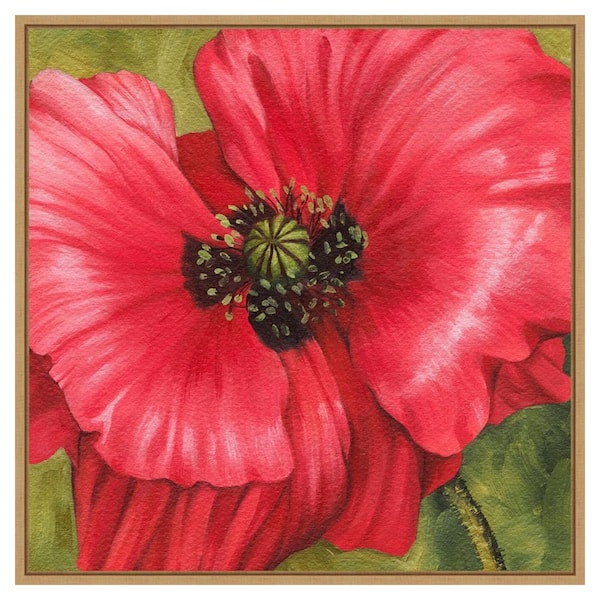 Amanti Art Vivid Poppy II by Grace Popp 30-in. W x 30-in. H. Canvas Wall Art Print Framed in Brown