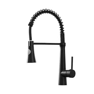 Modern Single Handle Pull Down Sprayer Kitchen Faucet with Dual Function Sprayhead in Matte Black