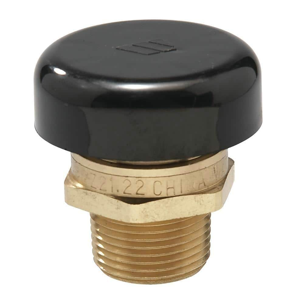 Watts 1/2 in. Brass MPT Vacuum-Relief Valve