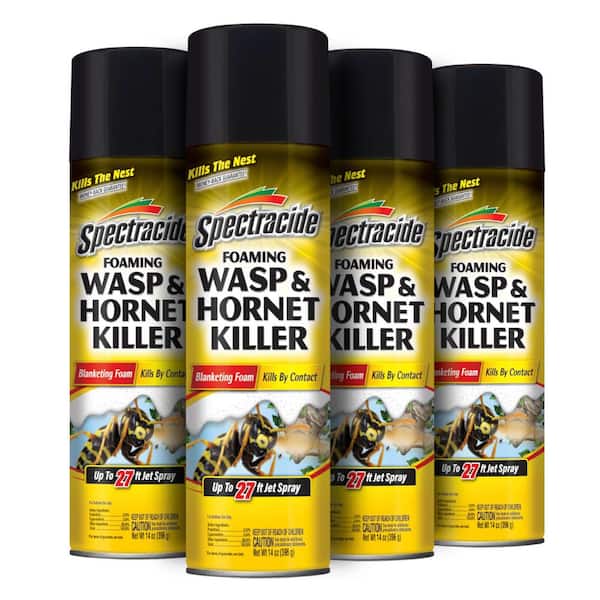 14 oz. Foaming Wasp and Hornet Insect Killer Aerosol Spray (4-Pack)
