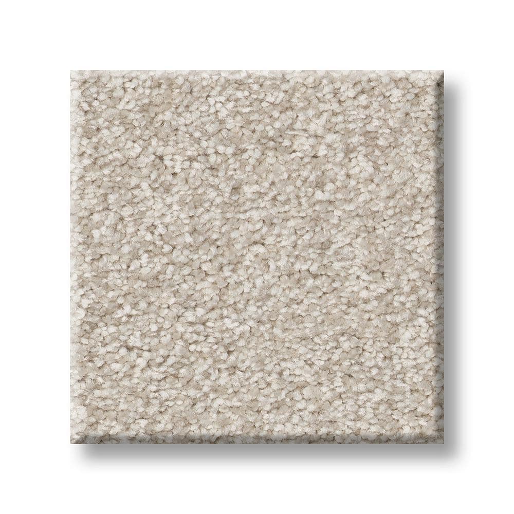 8 in. x 8 in. Texture Carpet Sample - Rosemary I -Color Chiffon price history on PriceWatchPro