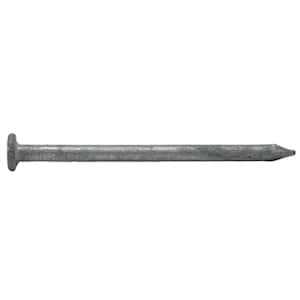 2 in. (6D) Hot Dipped Galvanized Smooth Common Nail 5 lbs. (830-Count)