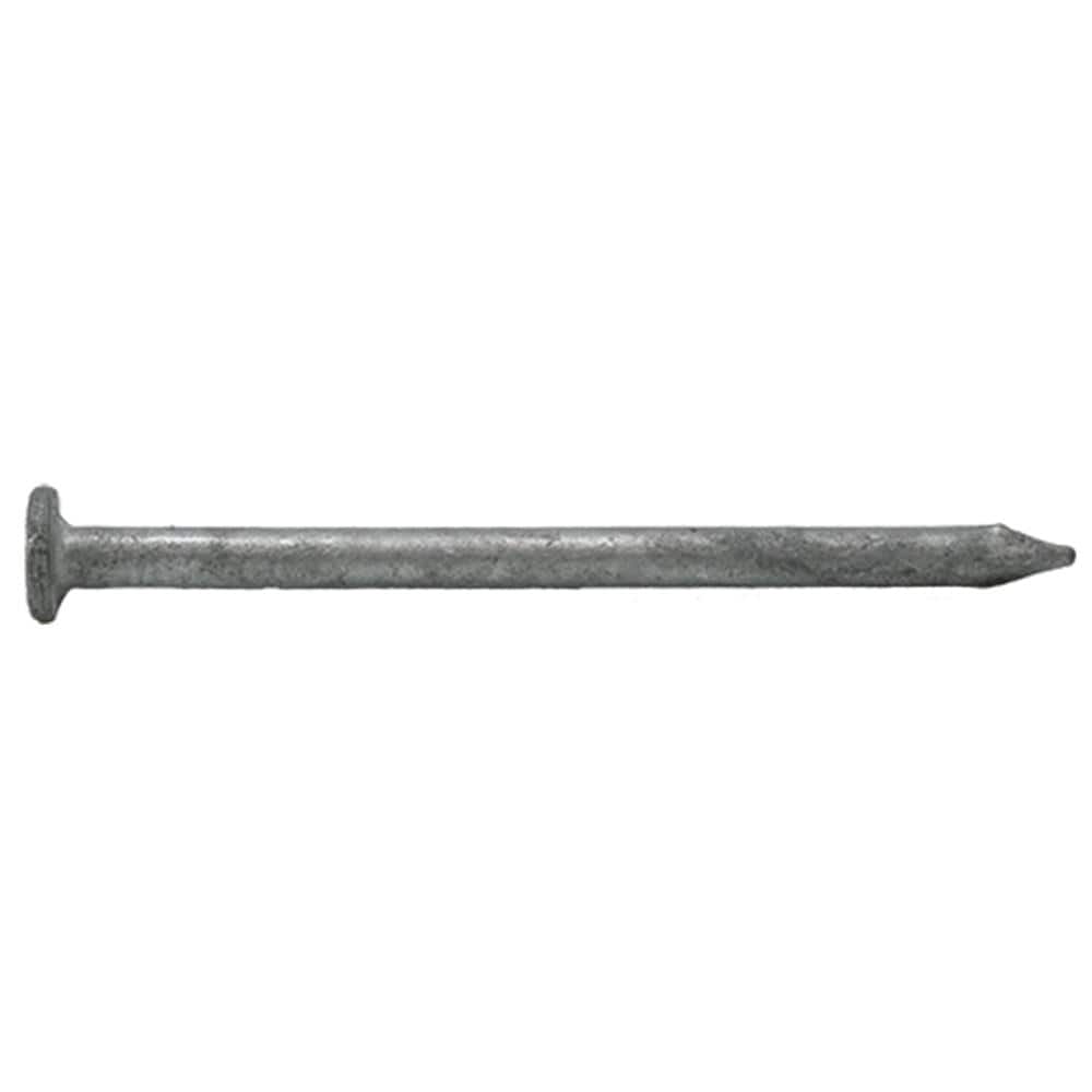 UPC 042928005019 product image for 3 in. (10D) Hot Dipped Galvanized Smooth Common Nail 1 lb. (63-Count) | upcitemdb.com
