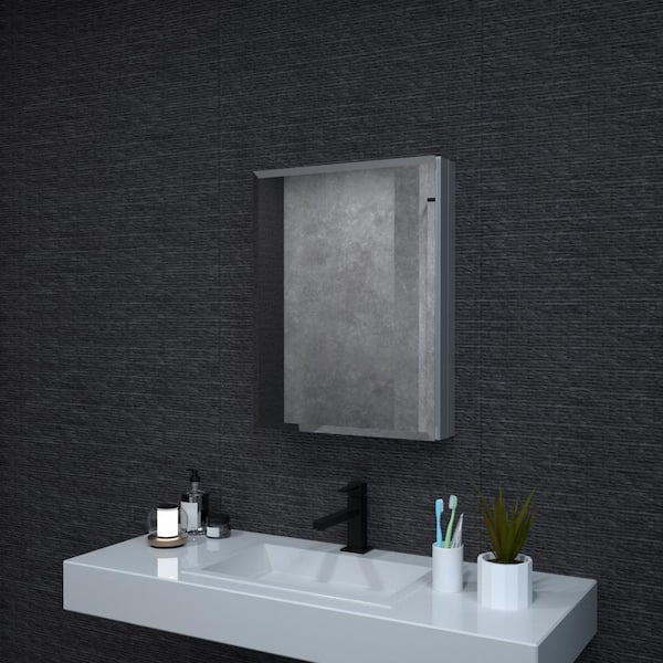 niveal 20 in. W x 26 in. H Rectangular Silver Aluminum Recessed/Surface Mount Medicine Cabinet with Mirror