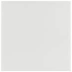 Revival White 7-3/4 in. x 7-3/4 in. Ceramic Floor and Wall Tile (0.42 sq. ft./Each)