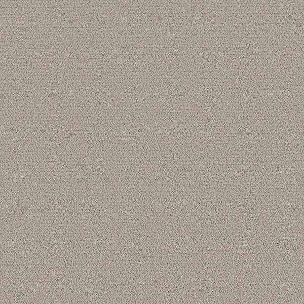 Poppy Color Dolphin Beige 42 oz. SD Polyester Pattern Installed Carpet